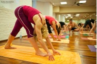 2646_2012_06_03__19_32_39