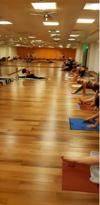 390_2017_07_06__22_53_46