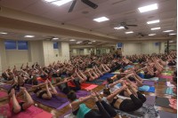 648_2016_04_13__17_42_09